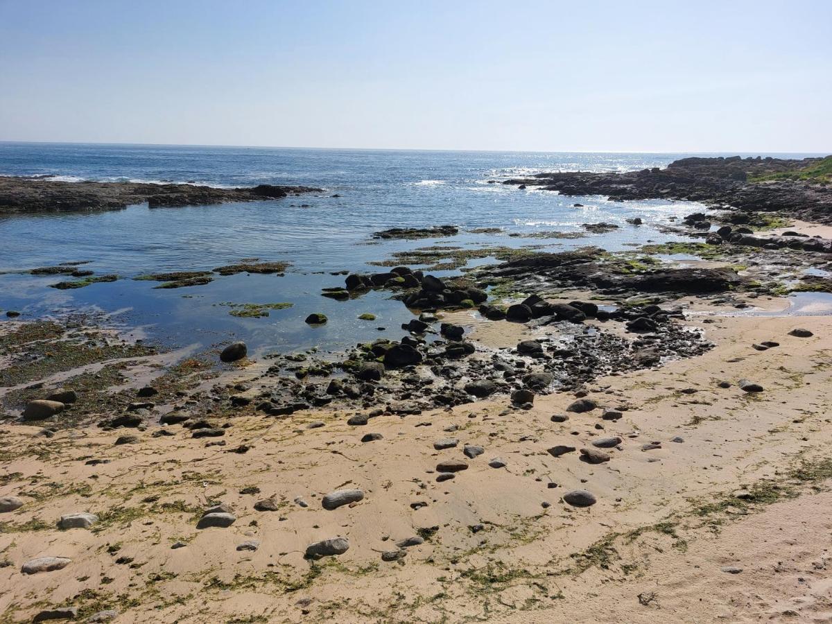 Sea & City Leça da Palmeira Eksteriør billede
